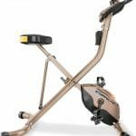 Exerpeutic Gold Heavy-Duty Foldable Bike for short persons