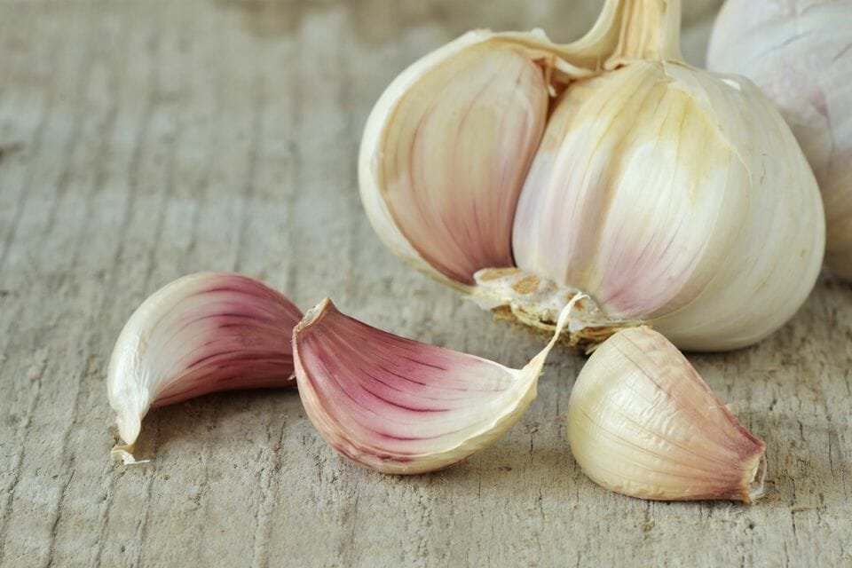 Garlic powder - Allicin